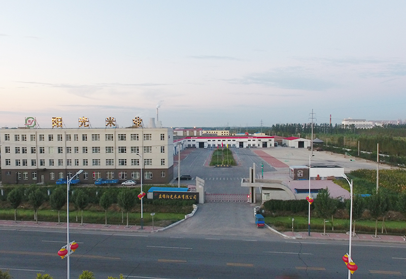 鑫陽光 鑫陽光